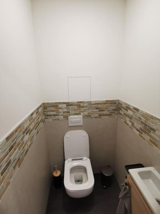 Apartman Bila Voda Červená Voda Kültér fotó